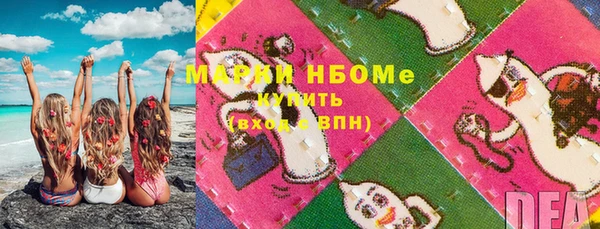шишки Баксан