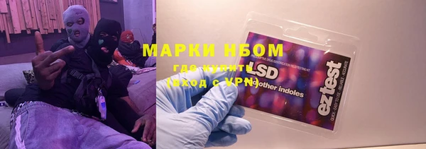 шишки Баксан