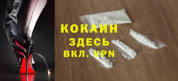 прущие грибы Белокуриха