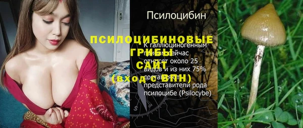 шишки Баксан