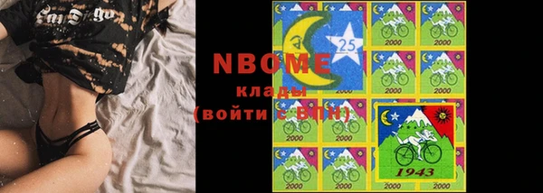 шишки Баксан